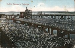 Sardine Cannery Postcard