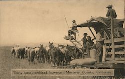 Thirty-horse combined harvester, Monterey County California Postcard Postcard Postcard