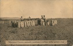 Monterey County annually produces a million dollar potato crop California Postcard Postcard Postcard