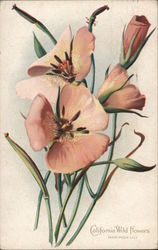 California Wild Flowers Postcard