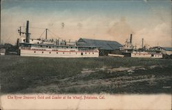 The River Steamers Gold and Leader at the Wharf Petaluma, CA Postcard Postcard Postcard