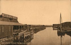 Creek Scene and Western Apple Vinegar Co. Postcard