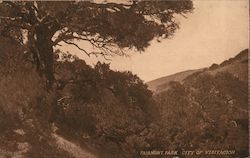 Fairmont Park. city of Visitacion California Postcard Postcard Postcard