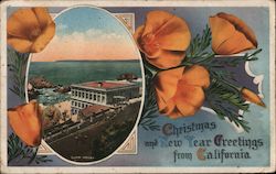 Cliff House Christmas and New Year Greetings From California Postcard