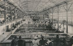 Interior of Sutro Baths Postcard