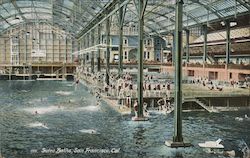 Sutro Baths Postcard