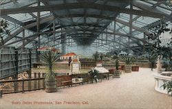 Sutro Baths Promenade Postcard