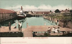 Wharf Petaluma, CA Postcard Postcard Postcard