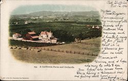 A California Farm and Orchards Postcard