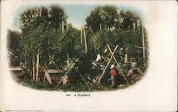 A Hopfield Postcard