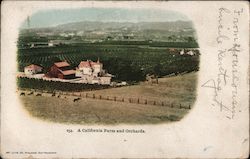 A California Farm and Orchards. Postcard