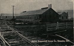 Alpine Evaporated Cream Co Postcard