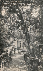 In the Tea Garden - Sherman Rose Monterey, CA Postcard Postcard Postcard