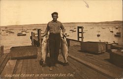 Salmon Caught in Monterey Bay, California Postcard