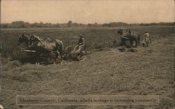 Monterey County, California, Alfalfa Acreage is Increasing Constantly Postcard Postcard Postcard