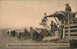 Thirty-Horse Combined Harvester Postcard