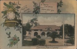 Carnegie Public Library A Merry Christmas and a Happy New Year Postcard