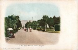 Palm Avenue, Sutro's Heights San Francisco, CA Postcard Postcard Postcard