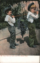 Native son and native fruit of the Golden West Postcard