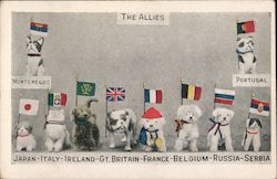 The Allies as Puppies Postcard