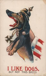 I Like Dogs but not This Breed - Uncle Sam Holding a Dog World War I Wall Postcard Postcard Postcard