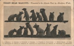 Teddy Bear Mascots Postcard