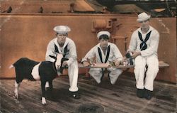 Mascots on Board United States Warship Postcard