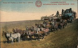 Reaping and Threshing (30 horse teams) Postcard