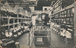 Tuolumne County Exhibit California Building Postcard