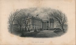 The White House Postcard