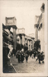 Palace of Fine Arts Postcard