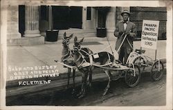 Babe and Buster 1915 Panama-Pacific Exposition Postcard Postcard Postcard