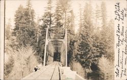 Railroad Bridge Santa Cruz, CA Postcard Postcard Postcard