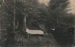 Camp Romany, Santa Cruz Mountains, 1912 Postcard