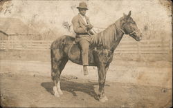 Young Black Man on Horse Postcard