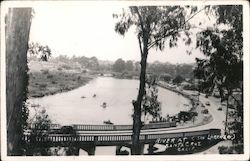 River at San Lorenzo Santa Cruz, CA Postcard Postcard Postcard