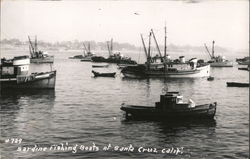 Sardine Fishing Boats Postcard