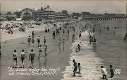 Thousands Enjoying the Beach Santa Cruz, CA Postcard Postcard Postcard