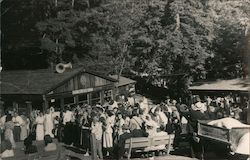 Mystery Spot?  Golden State Ice Cream Santa Cruz, CA Postcard Postcard Postcard