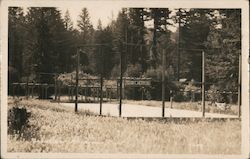 Tennis Courts Postcard