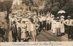 Forward March! to the Big Trees. Mount Hermon, CA Postcard Postcard Postcard