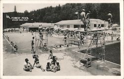 Forest Pool Boulder Creek, CA Postcard Postcard Postcard