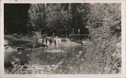 Junction Swimming Hole Boulder Creek, CA Postcard Postcard Postcard