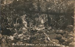 Boulder Creek at Bracken Brae California Postcard Postcard Postcard