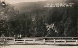 San Lorenzo Canyon, near Santa Cruz Big Trees Park California Postcard Postcard Postcard