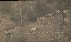 Packing Wood in the Santa Cruz Mountains Postcard