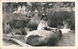 Big Basin Park, Santa Cruz Mts. Postcard