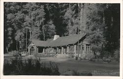 Big Basin Lodge Boulder Creek, CA Postcard Postcard Postcard