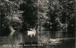 Boating at Felton Grove Auto Camp California Postcard Postcard Postcard