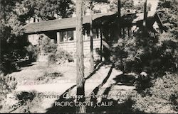 Director Cottage-Pinecrest-Asilomar Postcard